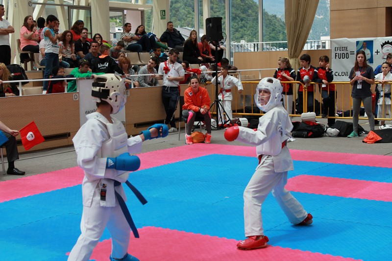 Ocho medallas para el karate navarro en el Open de Escaldes